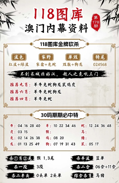 澳门管家婆100，澳门管家婆100，探索与体验