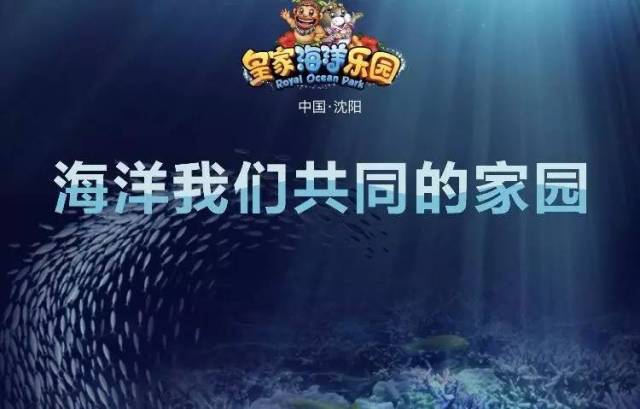 2004新澳正版免费大全，探索2004新澳正版免费大全的奥秘与魅力