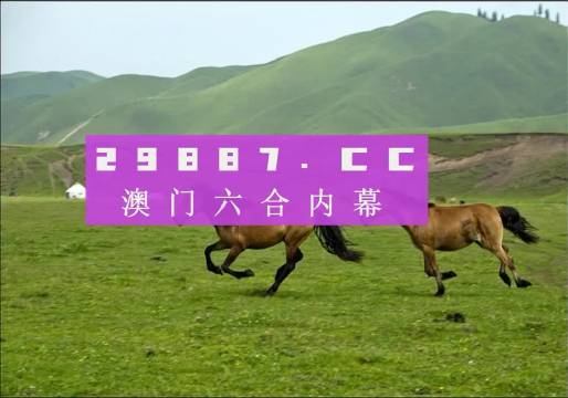 2025正版资料澳门跑狗图，澳门跑狗图的探索与理解，2025正版资料分析