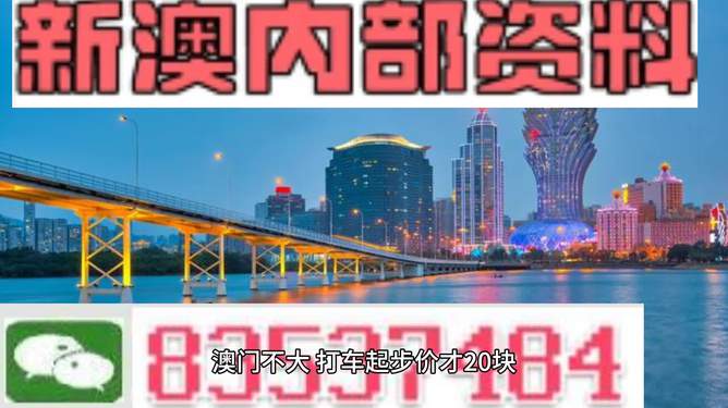 2025年新澳门正版资料精选，探索未来之门，澳门正版资料精选与未来的展望（2025年展望）