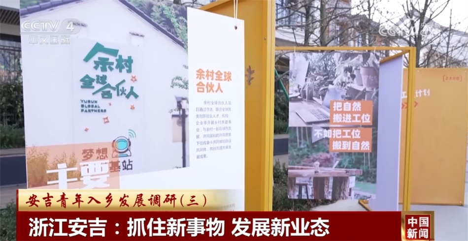 新澳门六开彩天天开好彩大全，新澳门六开彩天天开好彩大全，探索彩票的魅力与奥秘