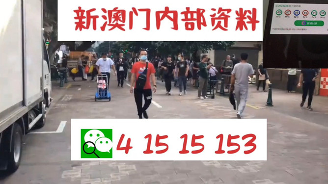 澳门管家婆资料一码一特一，澳门管家婆资料一码一特一，深度解析与探讨